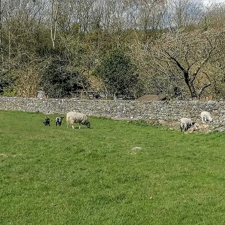 Hoopers End Feriehus *